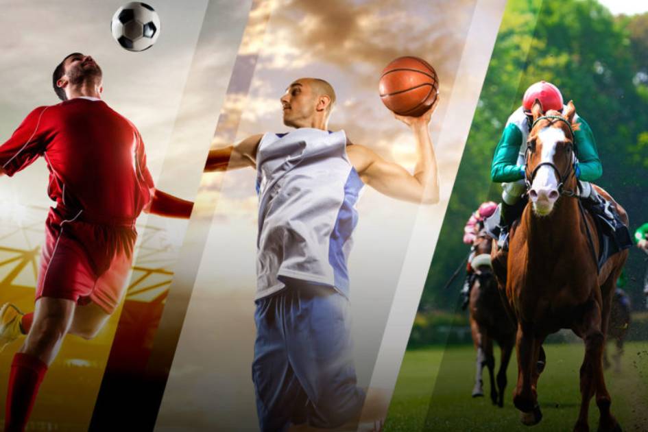 GEMINI 88 Casino All in One Platform - Sports Betting & Casino!